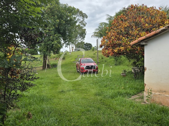 Sítio para Venda em Mogi Guaçu - 5
