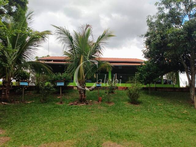 #434 - Sítio para Venda em Mogi Guaçu - SP - 1