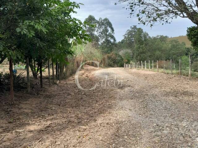 Sítio para Venda em Mogi Guaçu - 4