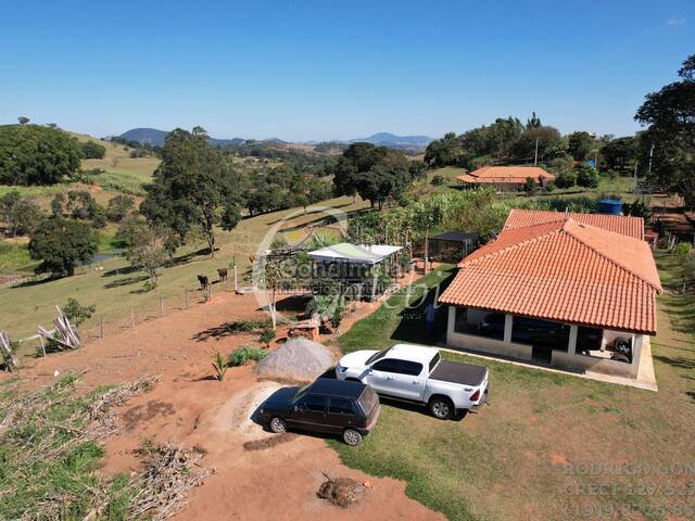 #435 - Sítio para Venda em Monte Sião - MG - 3