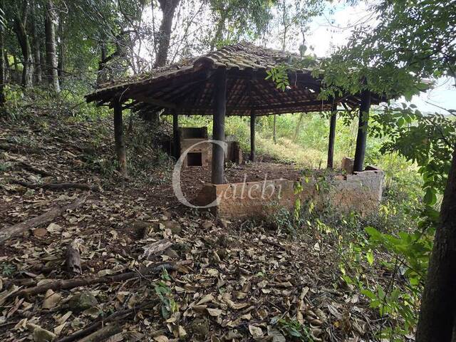 #444 - Sítio para Venda em Moji Mirim - SP - 1
