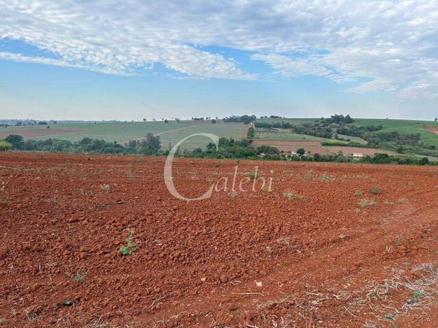 Venda em Área Rural de Artur Nogueira - Artur Nogueira