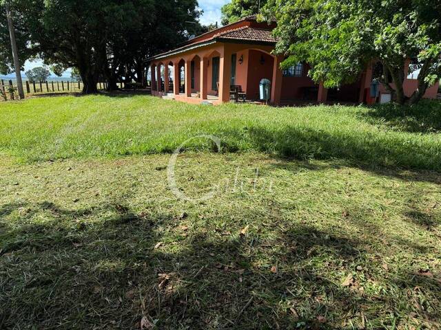 #446 - Sítio para Venda em Mogi Guaçu - SP - 3
