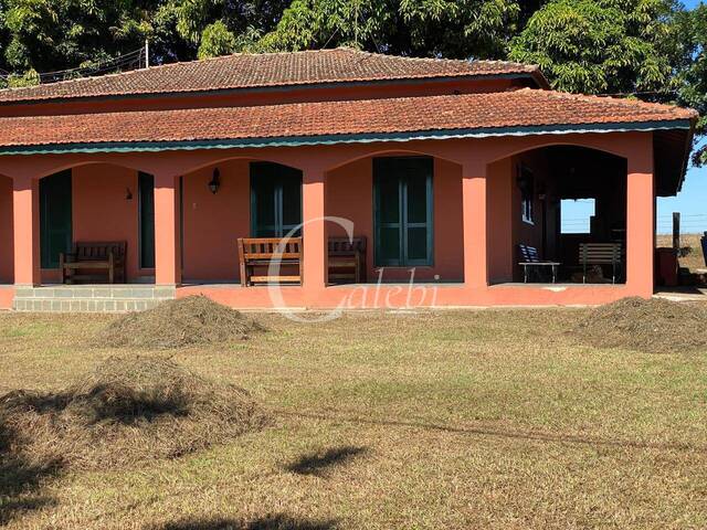#446 - Sítio para Venda em Mogi Guaçu - SP - 1