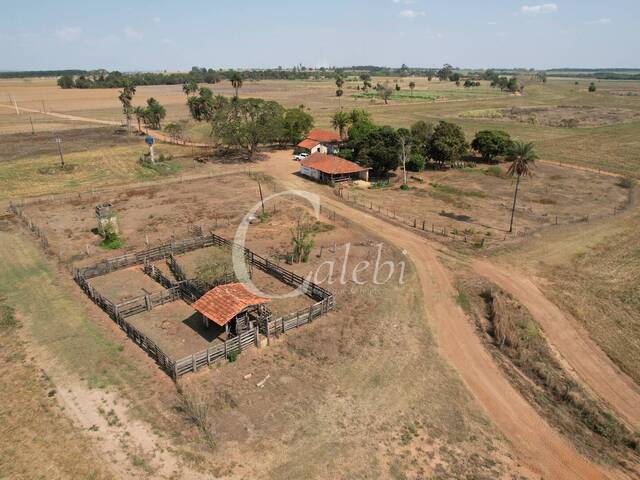 #459 - Fazenda para Venda em Pirassununga - SP - 1