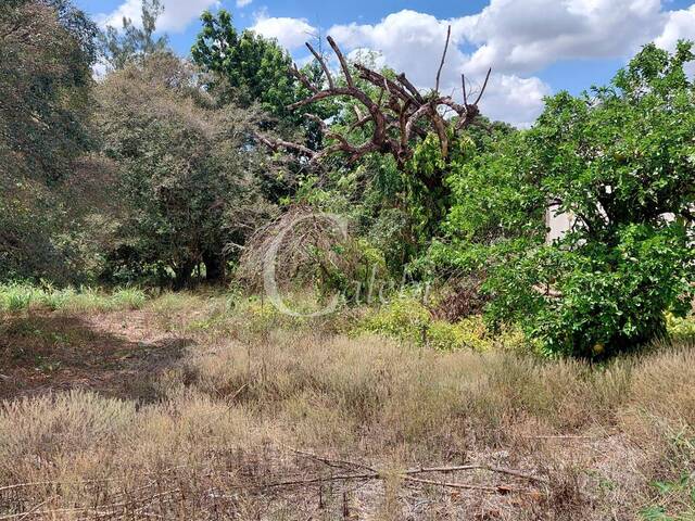 #465 - Terreno para Venda em Moji Mirim - SP - 2