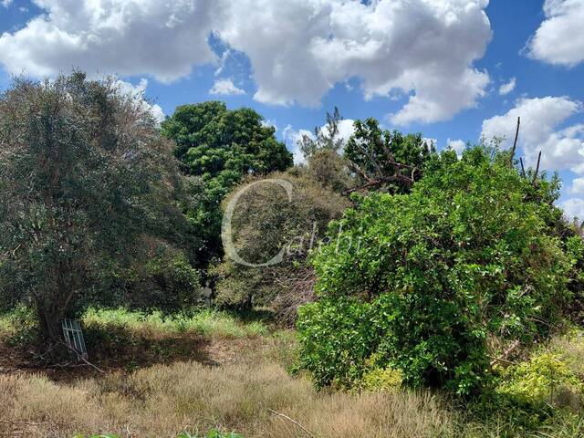 Terreno para Venda em Moji Mirim - 4