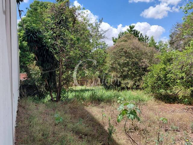 #465 - Terreno para Venda em Moji Mirim - SP - 1