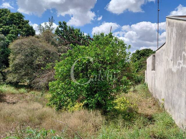 Terreno para Venda em Moji Mirim - 5