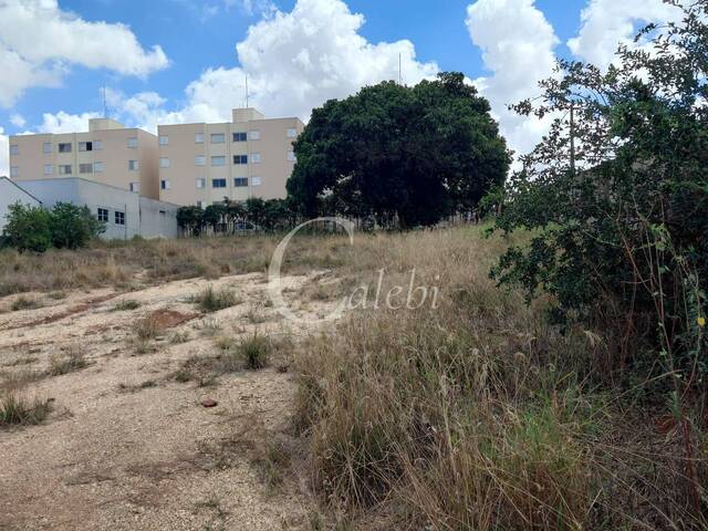 #471 - Terreno para Venda em Moji Mirim - SP - 1