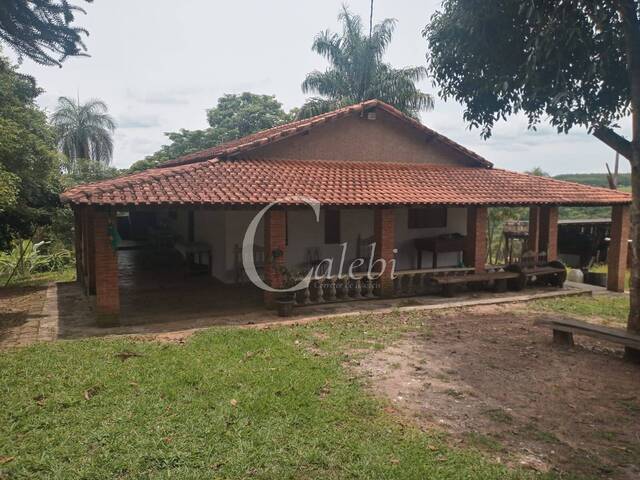 #486 - Sítio para Venda em Mogi Guaçu - SP - 1