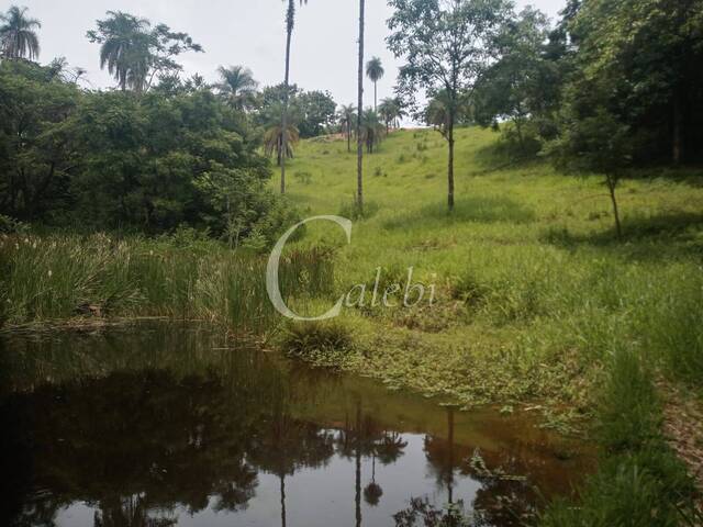#486 - Sítio para Venda em Mogi Guaçu - SP - 2