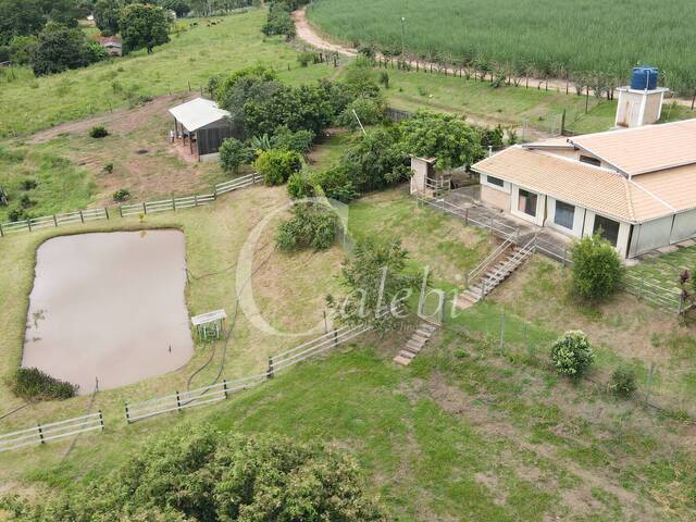 #495 - Sítio para Venda em Mogi Guaçu - SP - 1