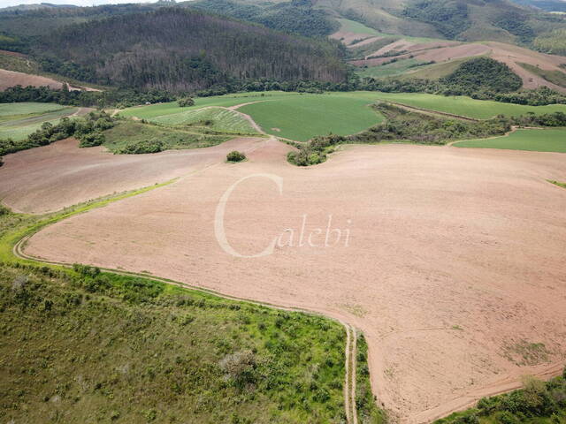 #496 - Fazenda para Venda em Caldas - MG - 2