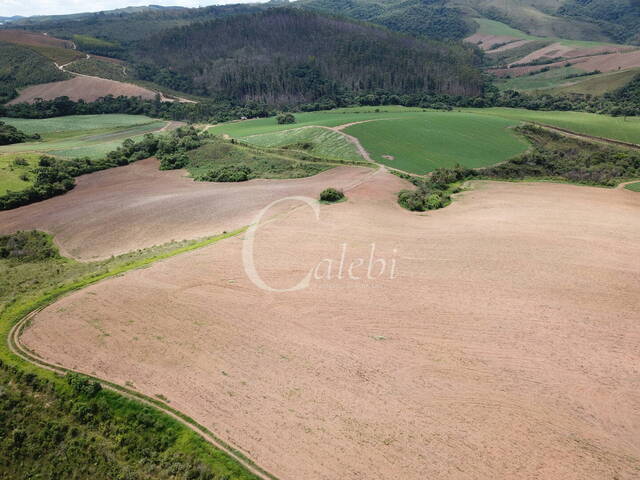 #496 - Fazenda para Venda em Caldas - MG - 3