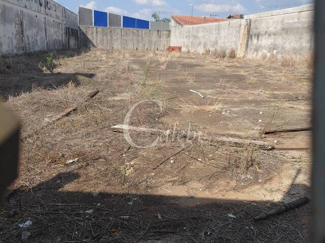 #507 - Barracão para Venda em Moji Mirim - SP - 3