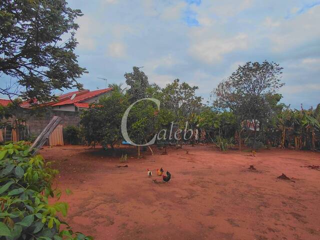 #523 - Terreno para Venda em Moji Mirim - SP - 2