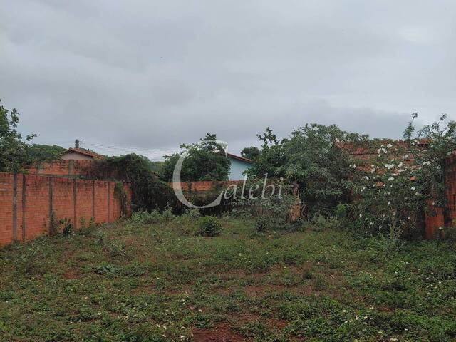 Terreno para Venda em Moji Mirim - 4