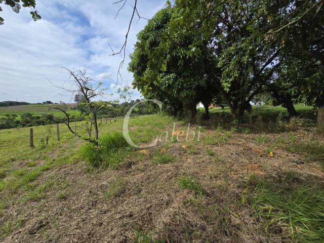 #551 - Sítio para Venda em Moji Mirim - SP