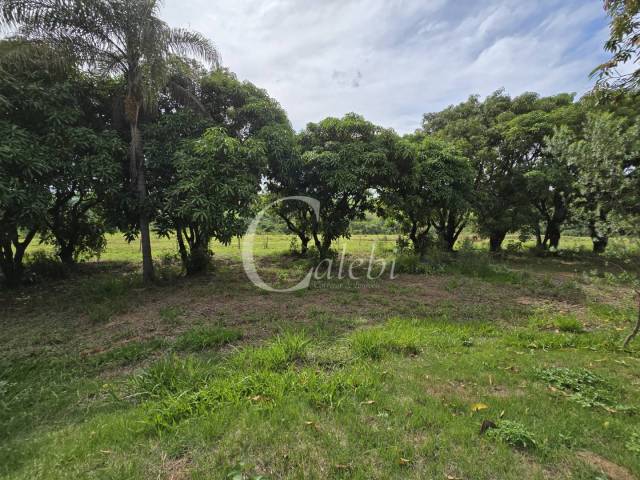 #551 - Sítio para Venda em Moji Mirim - SP