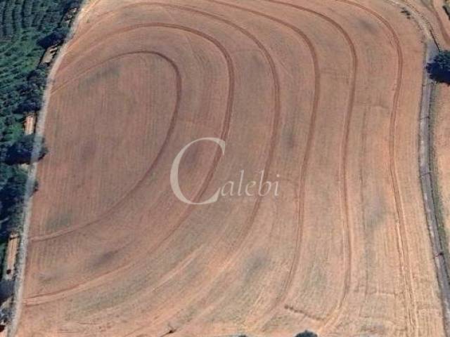 #555 - Sítio para Venda em Artur Nogueira - SP