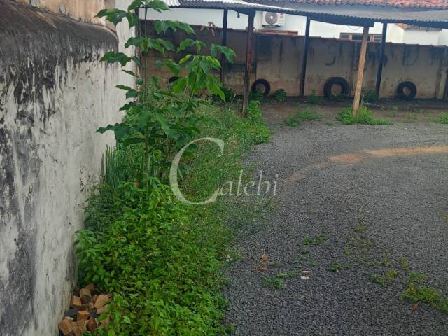 #553 - Terreno para Locação em Moji Mirim - SP - 3