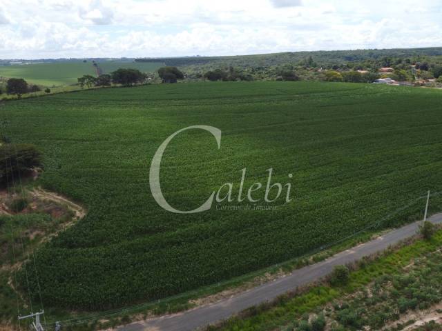 #555 - Sítio para Venda em Artur Nogueira - SP - 2