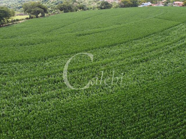 #555 - Sítio para Venda em Artur Nogueira - SP - 3