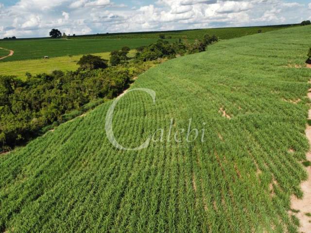 #572 - Sítio para Venda em Moji Mirim - SP - 3