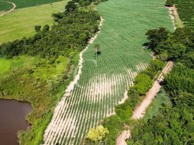 Venda em Área Rural de Mogi Mirim - Moji Mirim