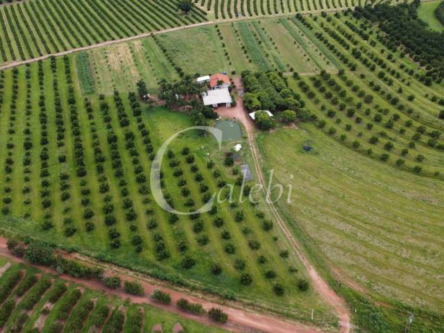 #573 - Sítio para Venda em Moji Mirim - SP - 1