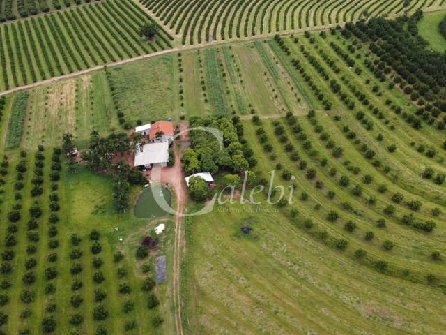 #573 - Sítio para Venda em Moji Mirim - SP - 2