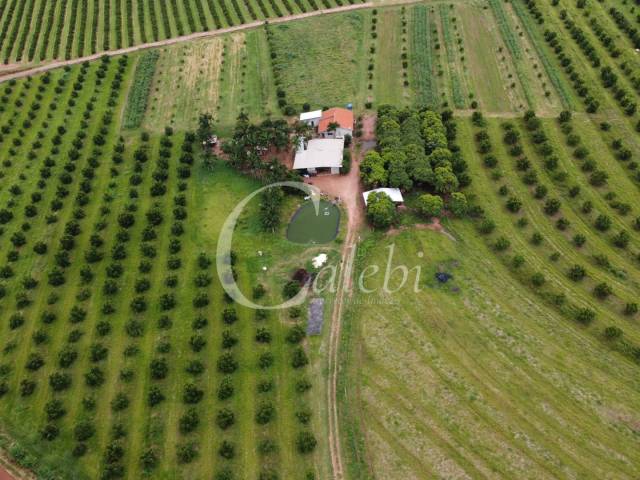 #573 - Sítio para Venda em Moji Mirim - SP - 3