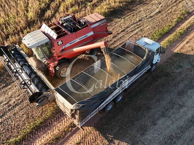 #575 - Fazenda para Venda em Echaporã - SP
