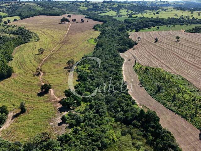 Fazenda para Venda em Echaporã - 4