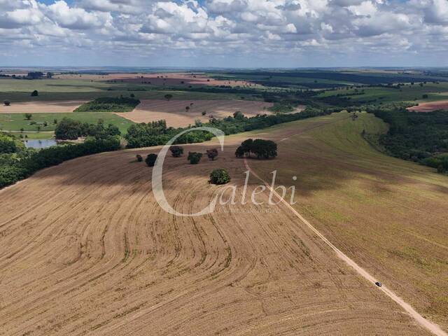 #575 - Fazenda para Venda em Echaporã - SP