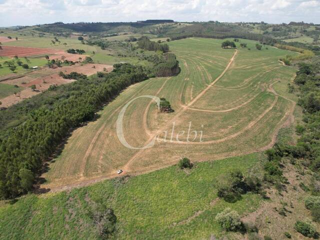 #575 - Fazenda para Venda em Echaporã - SP