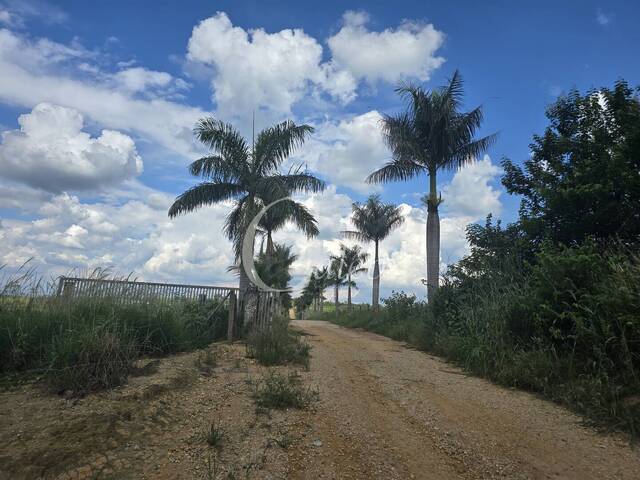 #576 - Fazenda para Venda em Moji Mirim - SP - 2