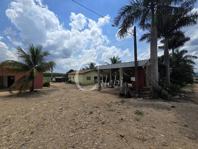 #576 - Fazenda para Venda em Moji Mirim - SP - 3