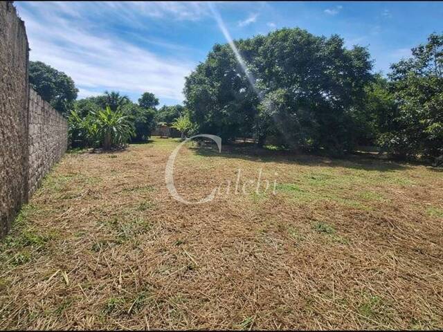 Chácara para Venda em Moji Mirim - 4