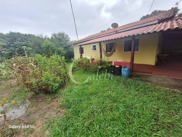 #585 - Sítio para Venda em Artur Nogueira - SP