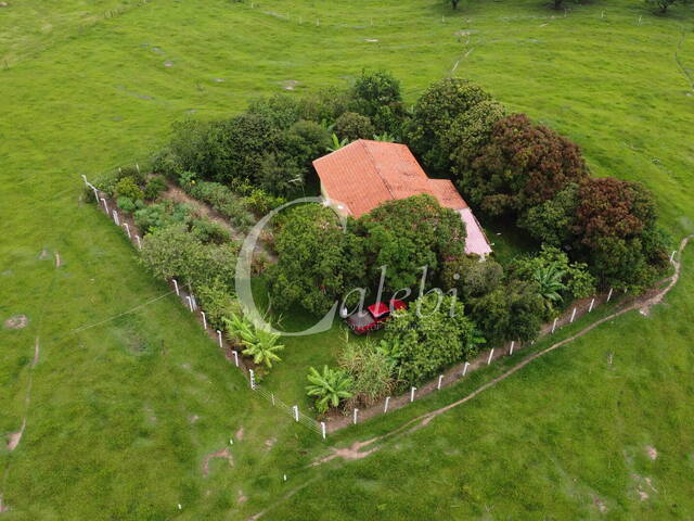 #585 - Sítio para Venda em Artur Nogueira - SP