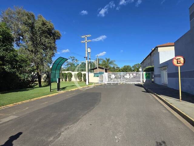 #592 - Apartamento para Locação em Mogi Guaçu - SP