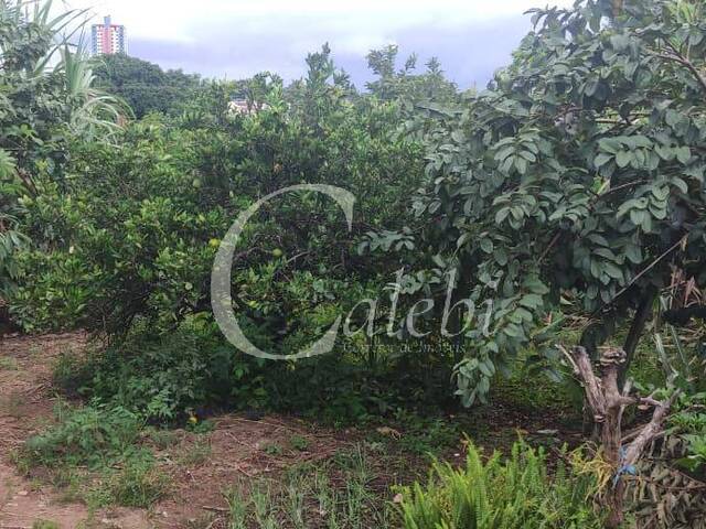 #593 - Área para Venda em Moji Mirim - SP - 3