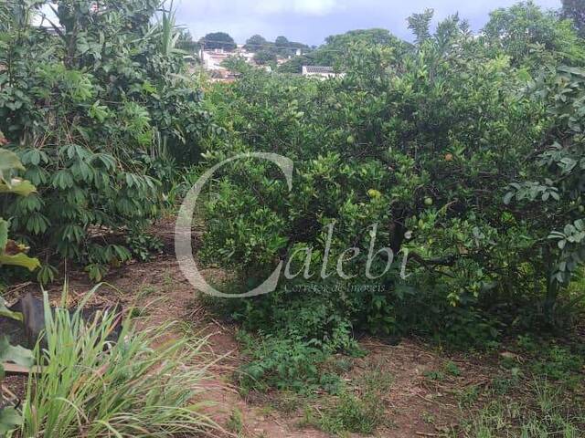 Terreno para Venda em Moji Mirim - 4