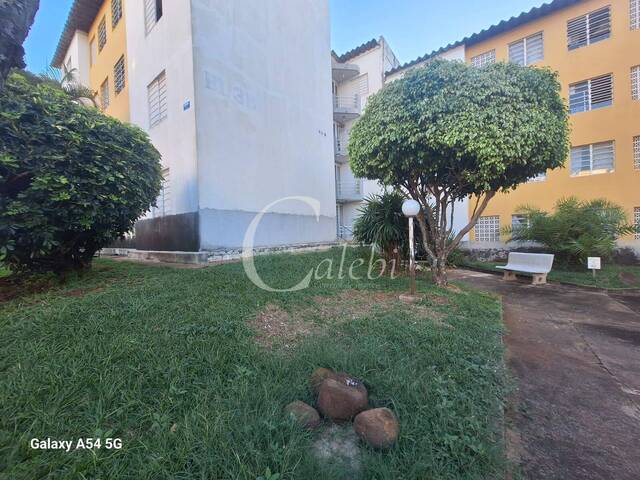 #597 - Apartamento para Venda em Moji Mirim - SP - 3