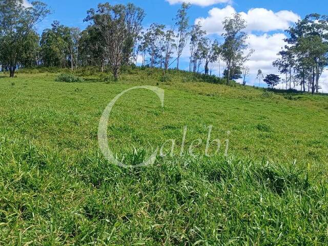 Chácara para Venda em Poços de Caldas - 4
