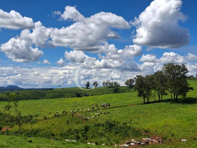 Chácara para Venda em Poços de Caldas - 5