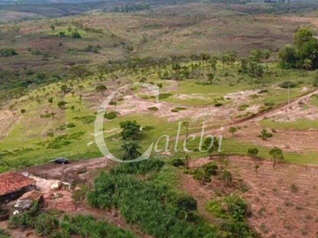 Fazenda para Venda em Tiros - 4