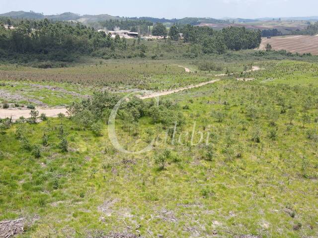 #679 - Fazenda para Venda em Andradas - MG - 1